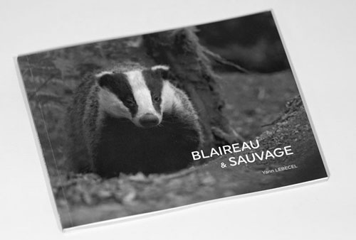 Couverture du livre sur le blaireau